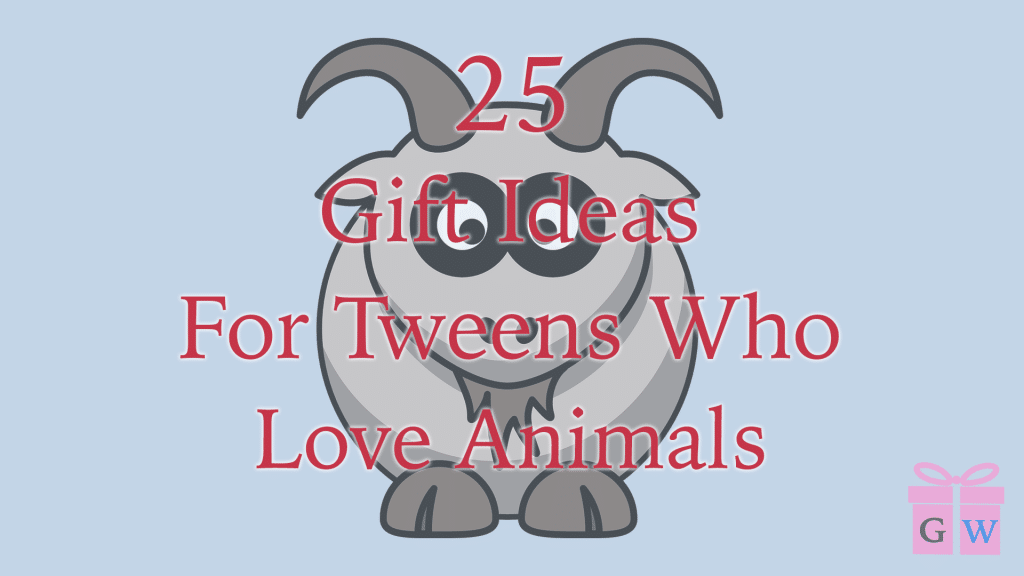 25 Gift Ideas For Tweens Who Love Animals