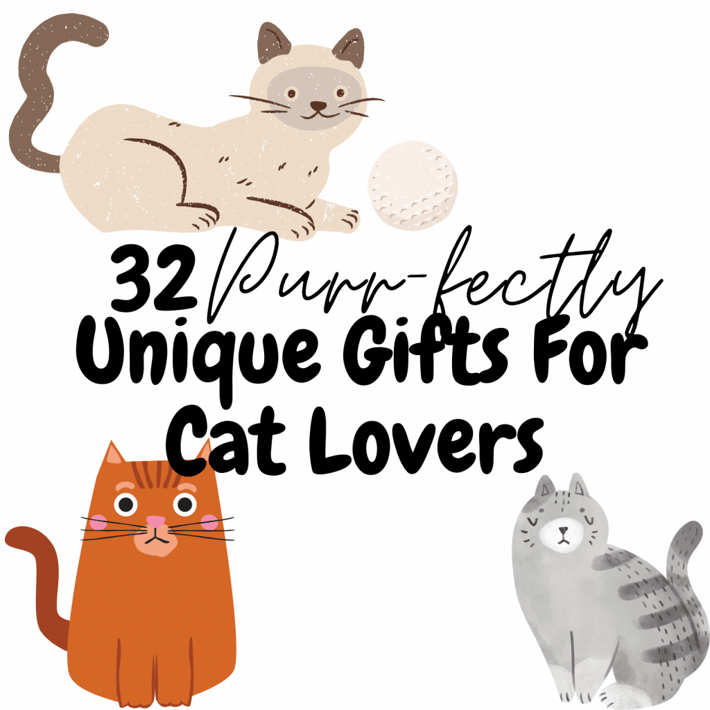 32 Unique Gifts For Cat Lovers