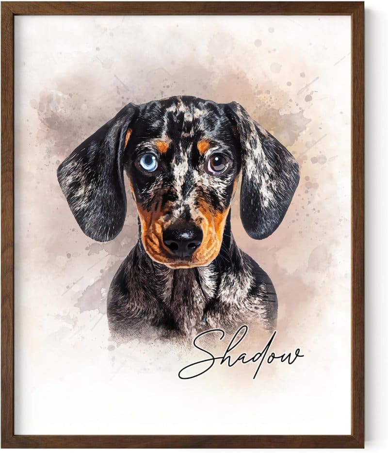 Custom Pet Portrait