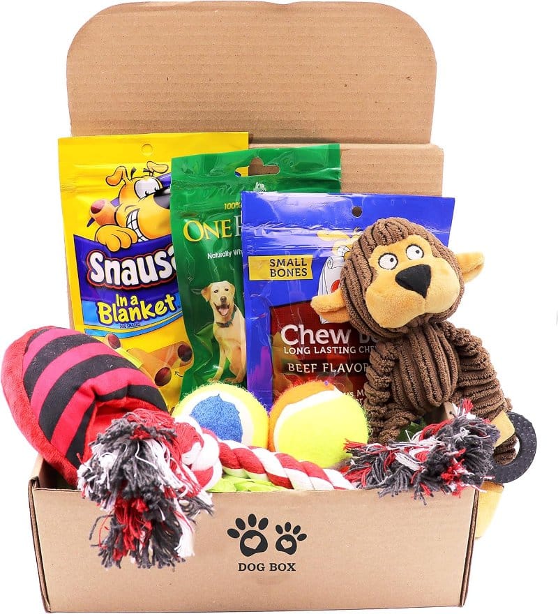 Dog Treat Subscription Box
