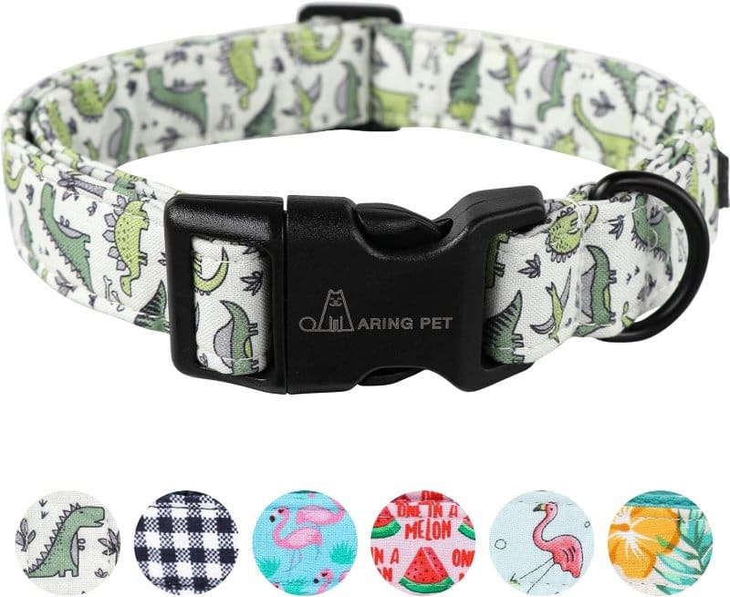 Personalized Dog Collar
