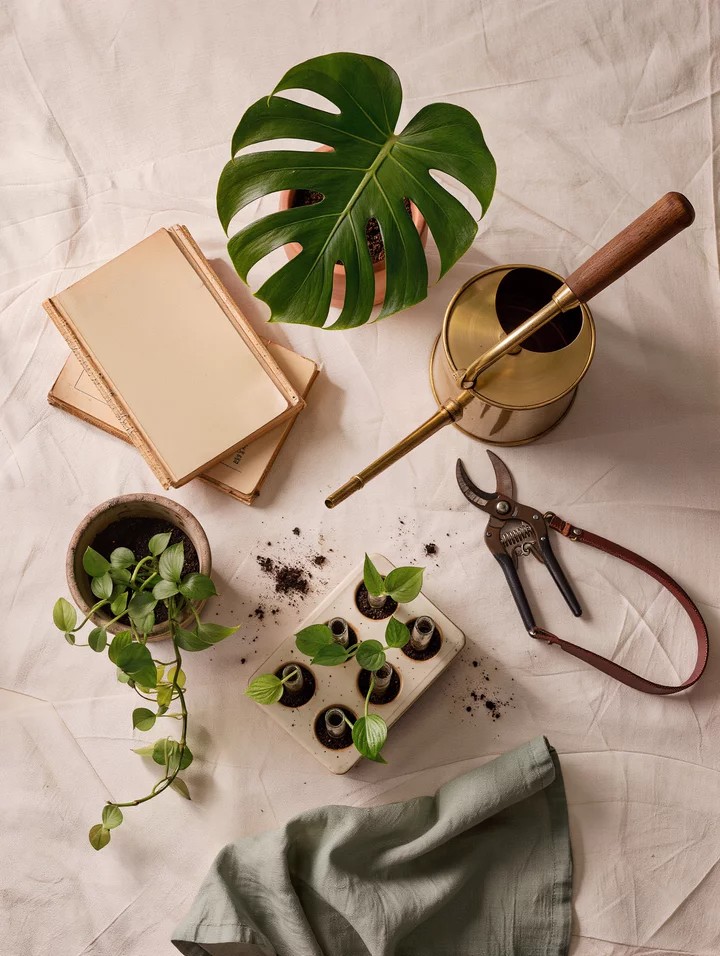 Gifts for plant moms flat-lay with Monstera leaf, brass watering can, ceramic propagation station, pruning shears, and houseplant care books on cream linen